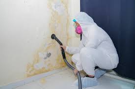 Best Forensic Mold Investigation  in Fairmont City, IL